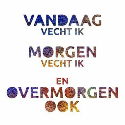 17554069_1157208084388991_4397393961490918105_n